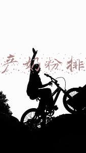 国产奶粉排名