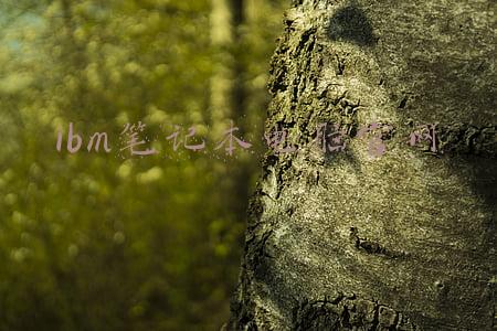 ibm笔记本官方网(早报：IBM发布第四季度财报 微星12代武士76开启预约)