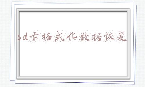 sd卡格式化数据恢复教程(SD卡格式化了怎么恢复)