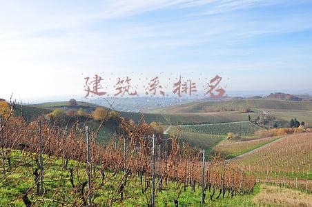 美国宾夕法尼亚大学建筑系排名(综合排名前200院校艺术设计专业推荐)