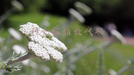 科创板指数代码是什么(华兴源创等5只证券被调出科创50指数样本)