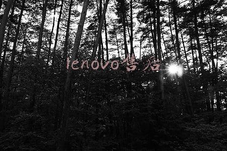 lenovo售后
