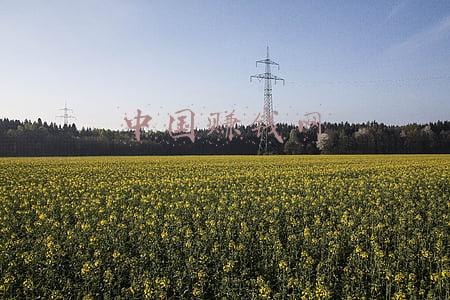 中国最赚钱的公司(华为第11，阿里34，这10家企业最赚钱！2020中国企业500强发布（附全名单）)