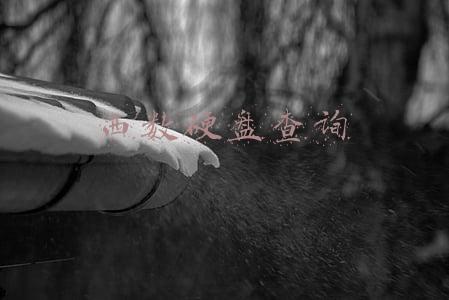 西数硬盘查询