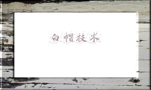 白帽技术