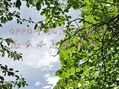 oppo手机忘记密码怎么办怎么解锁6位数(一不小心忘记了OPPO手机的隐私密码，怎样操作才能重置密码？)