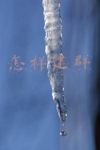 怎样建群呢(新班主任给班级建群，要遵循4点原则，不容易让自己陷入被动局面)