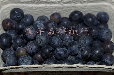 鱼竿品牌十大排行榜(究竟哪个品牌鱼竿好？国内主流鱼竿品牌排名出来了，大家怎么看？)