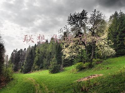 联想集团简介红海行动男孩狙击手(黄景瑜烧烤师傅逆袭顶流，素人起家偶像硬汉通吃，成长之路不简单)