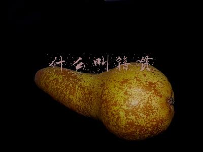 什么叫籍贯