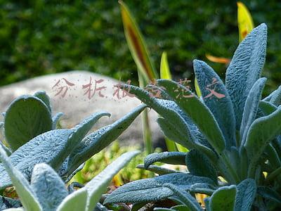 分析报告范文