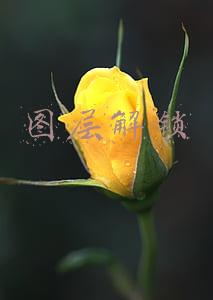 图层解锁快捷键(AI基础教程166：“图层”操作（九）图层的锁定与解锁)