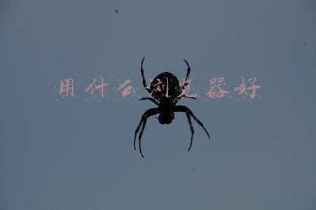 用什么浏览器好知乎(三浏鼎立|“浏览器”推荐(个人总结))
