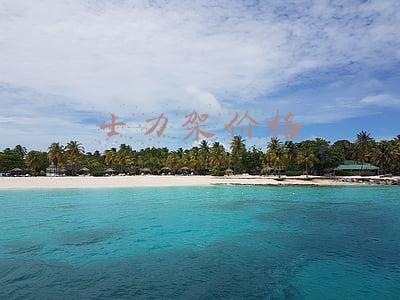士力架价格
