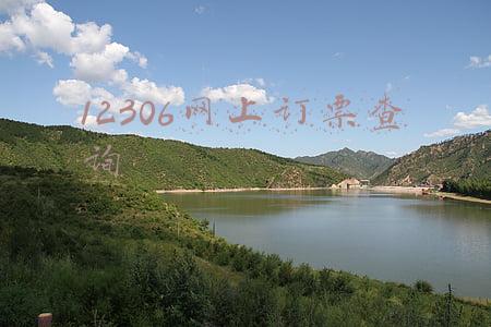 12306网上订票查询