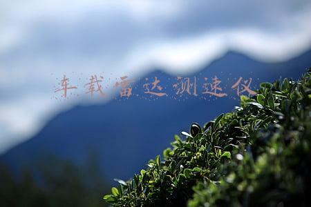车载雷达测速仪