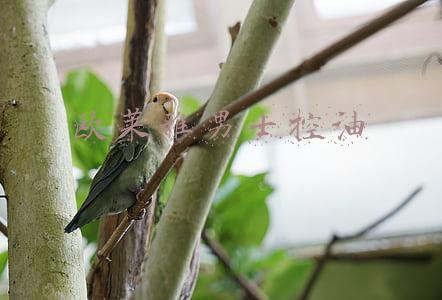 欧莱雅男士控油炭爽净亮洁面膏(10年护肤路程：如何快速成为男神，这4款男士控油洁面你不能错过)