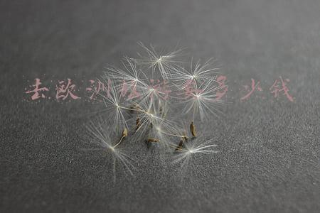去欧洲旅游要多少钱