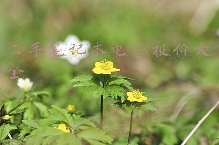 二手笔记本电脑报价大全