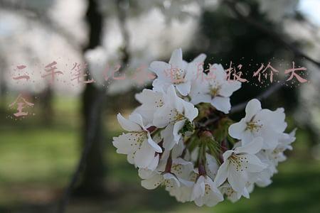 二手笔记本电脑报价大全