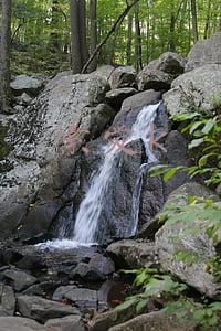 索爱扩音器(索爱无线小蜜蜂扩音器加码大功率全频喇叭，轻松hold住大教室)