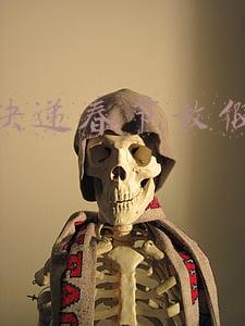 圆通春节放假时间2022(春节假期快递停运？谣言！各快递企业1月30日至2月4日提供“春节无休服务”)