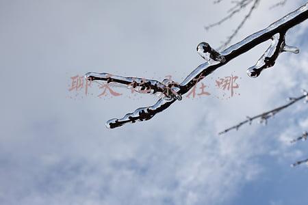 聊天记录在哪里找(微信聊天记录删除了怎样恢复？其实方法很简单，学会告诉家里人)