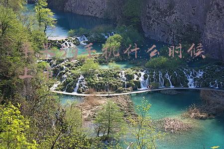 苹果5g手机什么时候上市