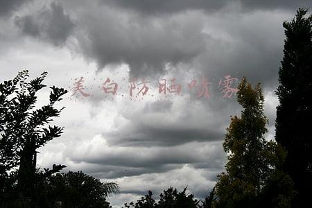 高姿多效倍护美白防晒喷雾(品质生活直播周｜“时尚之美”主题日，人人能做时尚ICON)