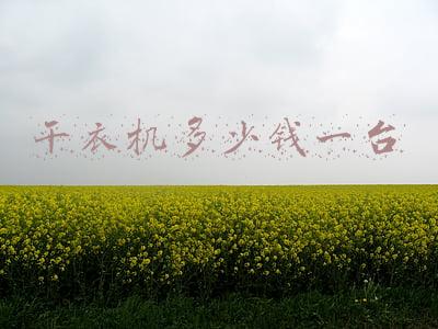 干衣机多少钱一台