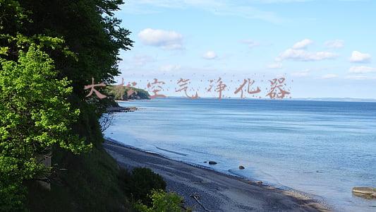 大松空气净化器