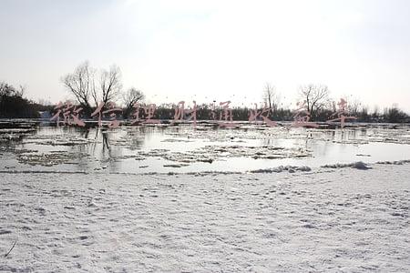 微信理财通收益率图(新能源基金上车姿势详解，来微信理财通定投)
