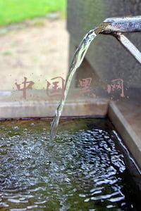 中国黑网