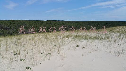 奥迪双钻官方旗舰店