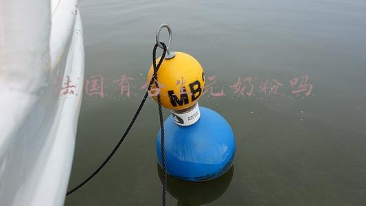 法国合生元奶粉好不好(合生元阿尔法星怎么样？有这个成分你还敢买吗？)
