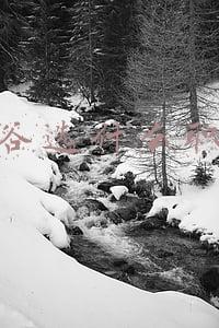 龙之谷选什么职业好