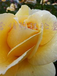 关系营销的理论基础是什么