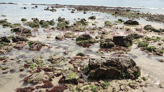 关系营销理论的内容(50个策划人必备的营销模型——4P营销理论和4C营销理论)