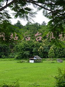 网站后台维护教程(保定网站建设以后的日常维护与管理有哪些？)
