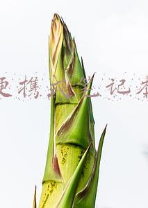 便携式笔记本电脑排行(这十款轻薄本太令人上头了 赶紧来围观（建议收藏）)