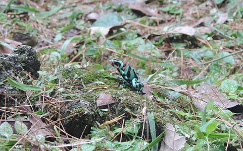 通讯地址是指现住址吗(香港公司新查册制度)