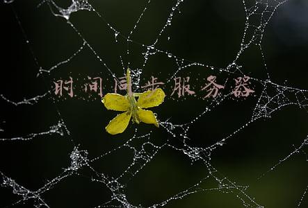 时间同步服务器