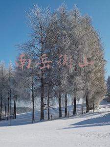 南岳衡山寺庙招聘(辟谣侠盟丨南岳衡山寺庙招聘薪资上万？假的)