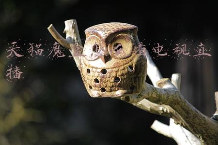 天猫魔盒怎么看电视直播小方法即可搞定(天猫魔盒看电视直播 简单明了的第三方软件安装)