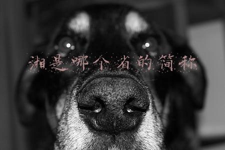湘是哪个省的简称