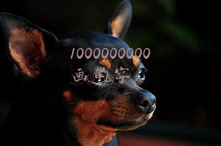 1000000000画的字