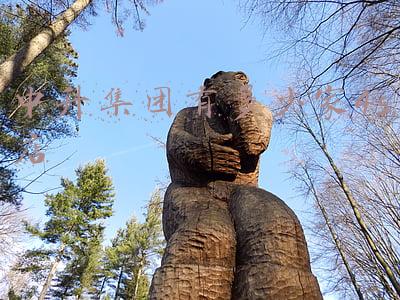中升集团旗下宝马4s店分布，中升集团的集团简介