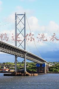 小鸭迷你洗衣机