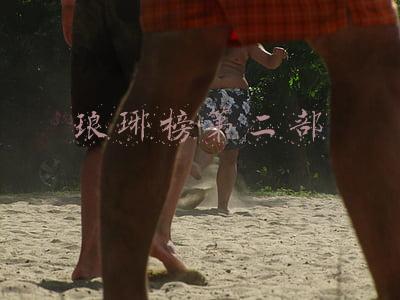 琅琊榜第二部