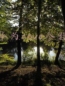华为nova参数